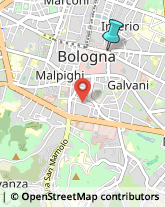 Articoli da Regalo - Dettaglio,40125Bologna