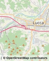 Idraulici e Lattonieri,55100Lucca