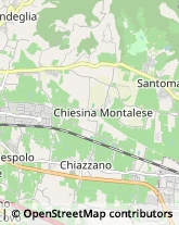 Trasportatori Meccanici,51100Pistoia