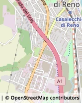 Motori a Scoppio,40033Bologna