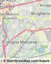 Palestre e Centri Fitness,20861Monza e Brianza