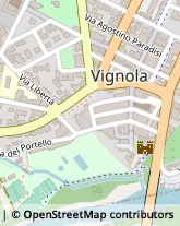 Via Antonio Tavoni, 1/7,41058Vignola