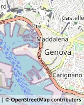 Vico delle Camelie, 4/18,16128Genova