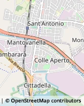 Strada Statale Cisa in Sant'Antonio, 7,46047Porto Mantovano