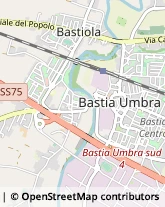 Via Claudio Treves, 4,06083Bastia Umbra