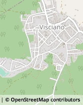 Via Giuseppe Garibaldi, 2,80030Visciano