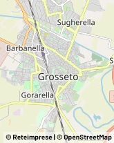 Aziende Agricole,58100Grosseto