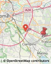 Via Colle Pizzuto, 58,00044Frascati