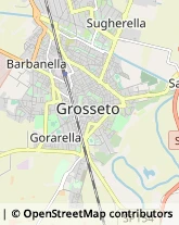 Ortognatodonzia - Medici Specialisti,58100Grosseto