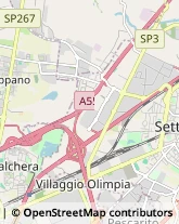 Via Borgaro, 10,10036Settimo Torinese