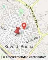 Via Le Monache, 6,70037Ruvo di Puglia