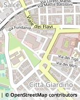 Viale Verani, 13,02100Rieti