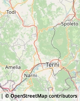 Imprese di Pulizia,05100Terni