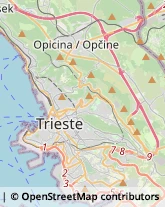 Viale Miramare, 123/1,34126Trieste