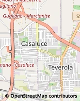 Via Provinciale Teverola Casaluce, 153,81030Teverola