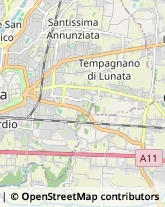 Tipografie,55100Lucca