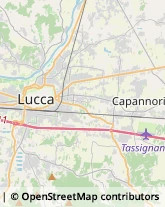 Tipografie,55100Lucca