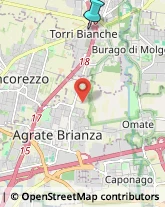 Locali, Birrerie e Pub,20871Monza e Brianza