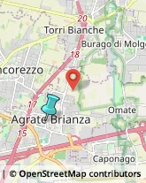 Locali, Birrerie e Pub,20864Monza e Brianza