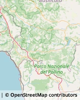 Assicurazioni,85048Potenza