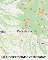 Via Prenestina Nuova, 307 /A,00036Palestrina