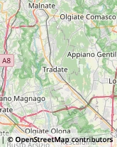 Aziende Agricole,22070Como