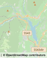 Stazioni di Servizio e Distribuzione Carburanti,38020Trento