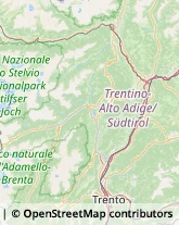 Via Artigiani, 6,39057Appiano sulla Strada del Vino