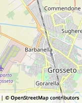 Agenti e Rappresentanti di Commercio,58100Grosseto