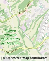 Via del Ponte Pisano, 84,00148Roma