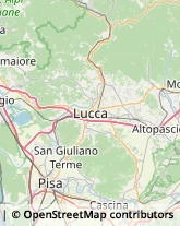 Consulenza di Direzione ed Organizzazione Aziendale,55054Lucca