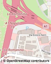 Via Enrico Ferri, 001,00173Roma