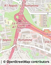 Via Orazio Raimondo, 19,00133Roma