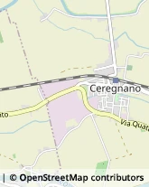 Via Marco Polo, 5,45010Ceregnano