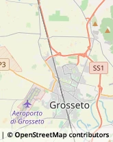 Tricologia - Studi e Centri,58100Grosseto