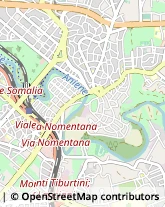 Cinema e Televisione - Distribuzione e Noleggio Film,00141Roma