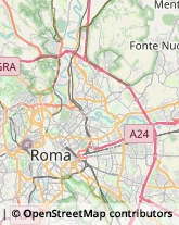 Cinema e Televisione - Distribuzione e Noleggio Film,00185Roma