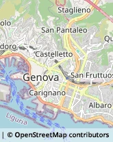 Associazioni ed Organizzazioni Religiose,16124Genova