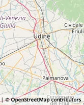 Avicoltura,33100Udine