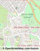 Via Giovanni Boccomini, 27,00139Roma