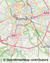 Via Cesare Rasponi, 11,00162Roma