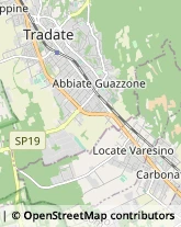 Locali, Birrerie e Pub,21049Varese