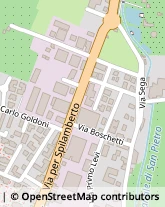 Via per Spilamberto, 1631,41058Vignola