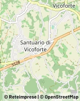 Piazza Carlo Emanuele I, 57,12080Vicoforte