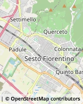 Via Giotto, 63,50019Sesto Fiorentino