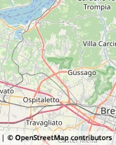 Frutta e Verdura - Dettaglio,25064Brescia