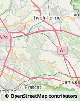 Via Casal di Mario, 17,00044Frascati