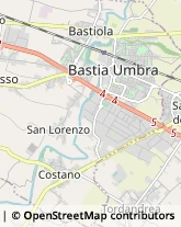 Via Francesco Petrarca, 12,06083Bastia Umbra