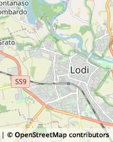 Via Secondo Cremonesi, 4,26900Lodi