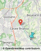 Giardinaggio - Servizio,20844Monza e Brianza